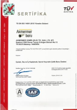 TS EN  ISO 14001:2015 ( 2020 )