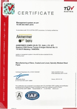 TS EN  ISO 9001:2015 ( 2020 )